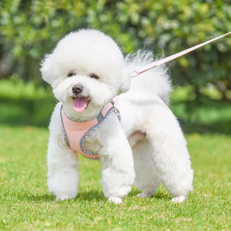 Собачья шлейка и поводок для маленьких собак Регулируемая светоотражающая дышащая шлейка для щенков и кошек, поводок для прогулок на свежем воздухе . ' - ' . 1