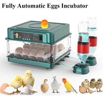 Инкубатор на 15 яиц с автоматическим переворачиванием яиц и автоматическим добавлением воды с яичной свечой для выведения курицы, утки, гуся, голубя, перепела.