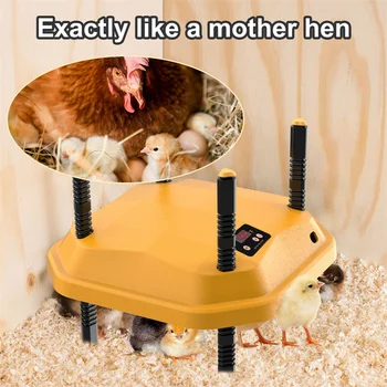 Нагреватель мощностью 13/22 Вт для куриных яиц, Инкубатор для цыплят-брудеров, Нагревательная пластина, Регулируемый Регулятор температуры нагревателя в курятнике